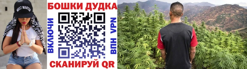 Канабис THC 21%  что такое наркотик  Киров 